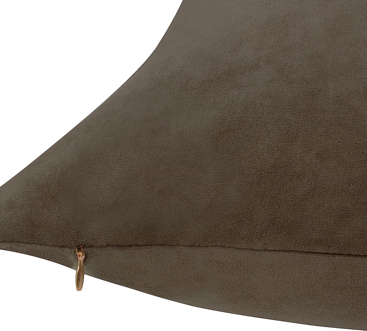 Delara Velvet Decorative Throw Pillow Cover, 20x20 inch, Pack of 1, Soft Breathable Cushion Cover with Hidden Zipper, Cocoa brown