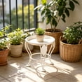 thumbnail image 5 of Single Tier Rustproof Vintage Round Metal Plants Stand, Decorative Flower Pot Holder Rack for Indoor Outdoor Living Room Balcony Patio Garden Corner, Heavy Duty Iron Planter Shelf for Home Greenery, 5 of 6