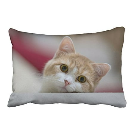 - WinHome Cute Cat Stuck Out The Head Look Quietly Decorative Pillowcases With Hidden Zipper Decor Cushion Covers Two Side 20x30 inches