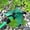 Green, variant on Lomaiwei Garden Sprinkler, Adjustable 360 Degree Rotation Greensward Sprinkler, Large Area Coverage, Multipurpose Yard Sprinklers for Plant Irrigation(Only Nozzle Excluding Hoses) One Size