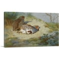 thumbnail image 1 of ARTCANVAS A Pair Of Partridges On a Sandy Bank 1915 Canvas Art Print by Archibald Thorburn - Size: 18" x 12" (0.75" Deep), 1 of 9