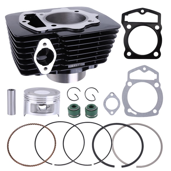 Engine Cylinder Piston Kit Compatible for Veloci Xeverus 300