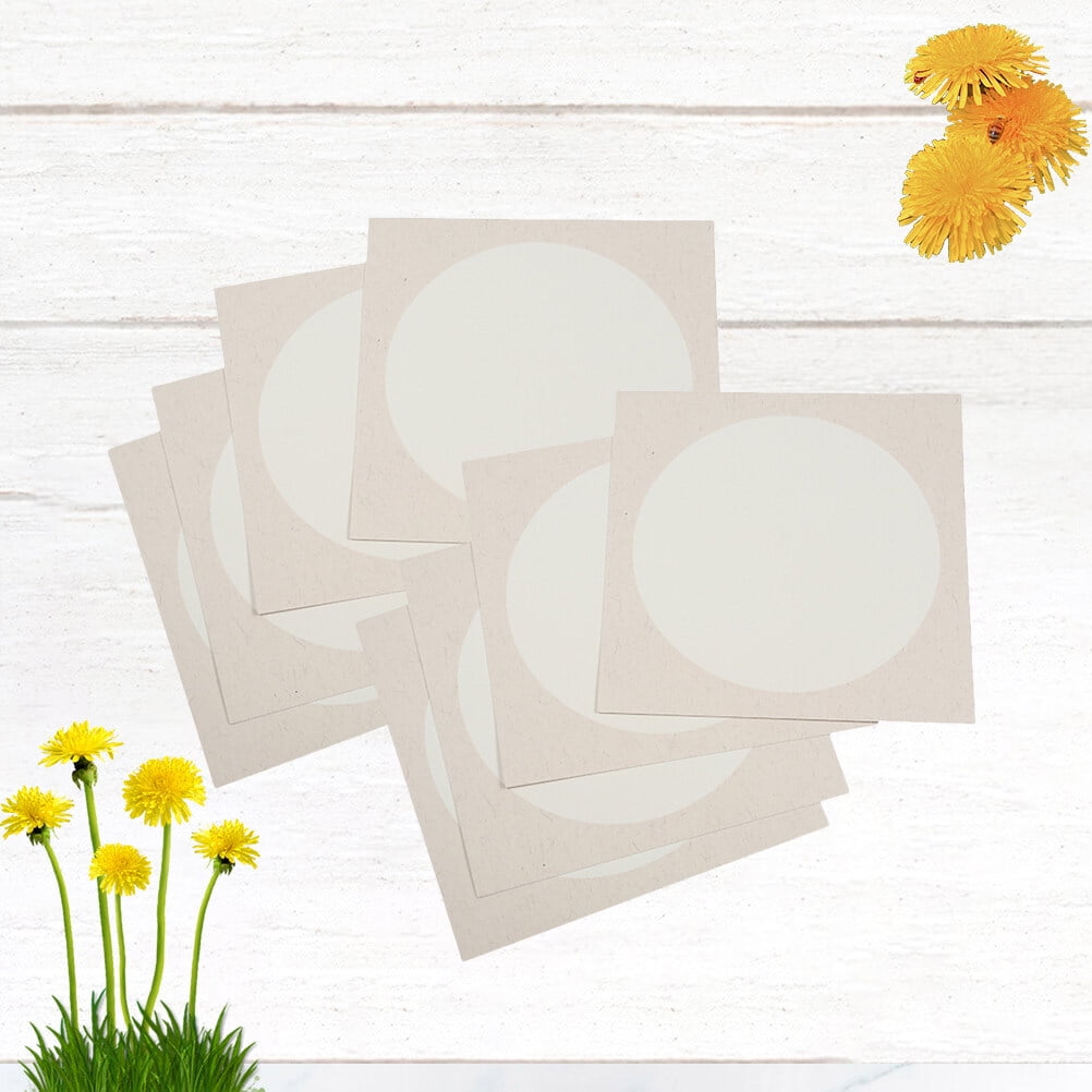 Raindrops 10 Sheets White Chinese Painting Fan Paper for Handmade Drawing and Craft Projects
