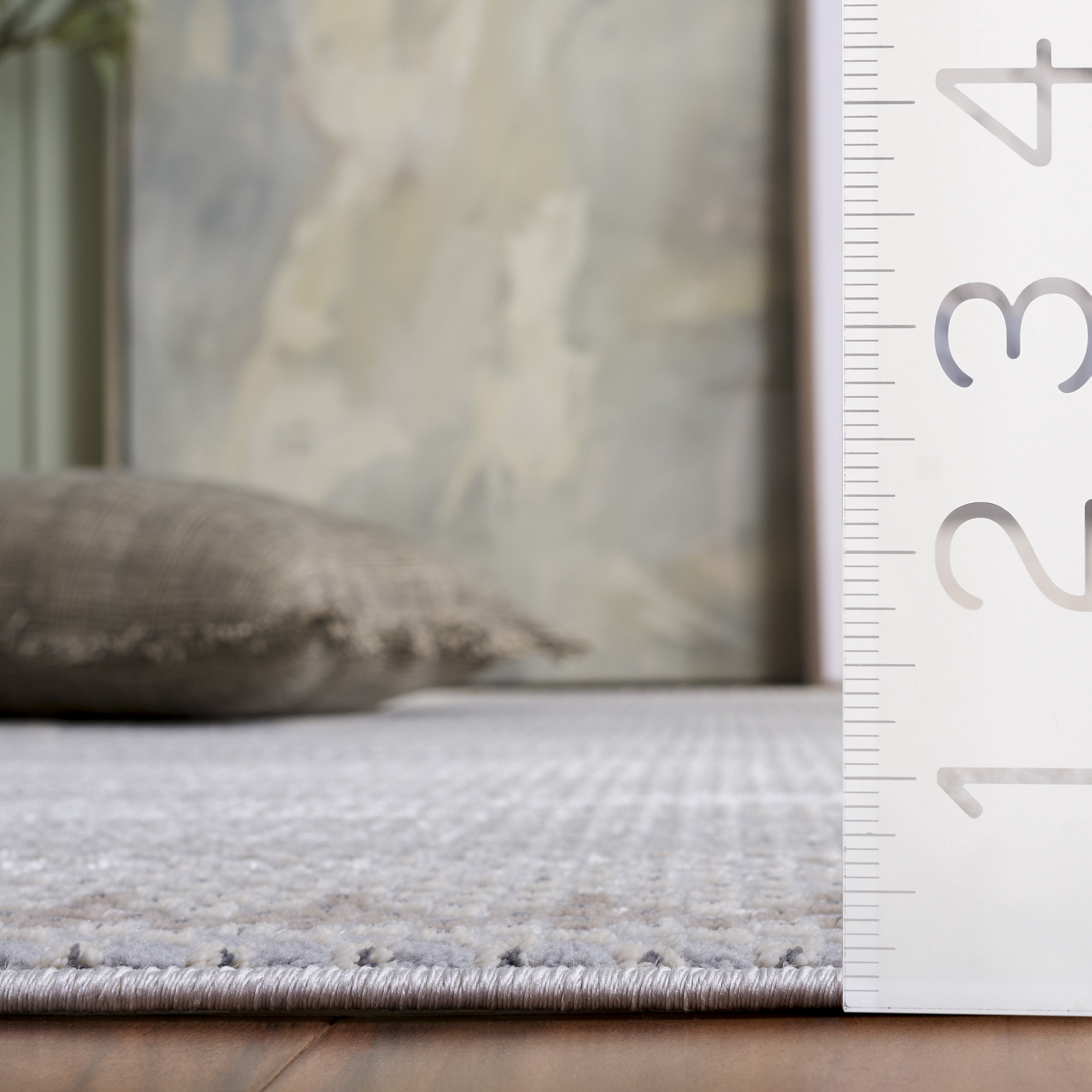 SAFAVIEH Continental Ermintrude Distressed Area Rug, Light Gray/Dark Gray, 4' x 6'