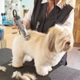 thumbnail image 4 of Cortapelos Oster Clipmaster para perros grandes gatos gris 45 W, 4 of 6