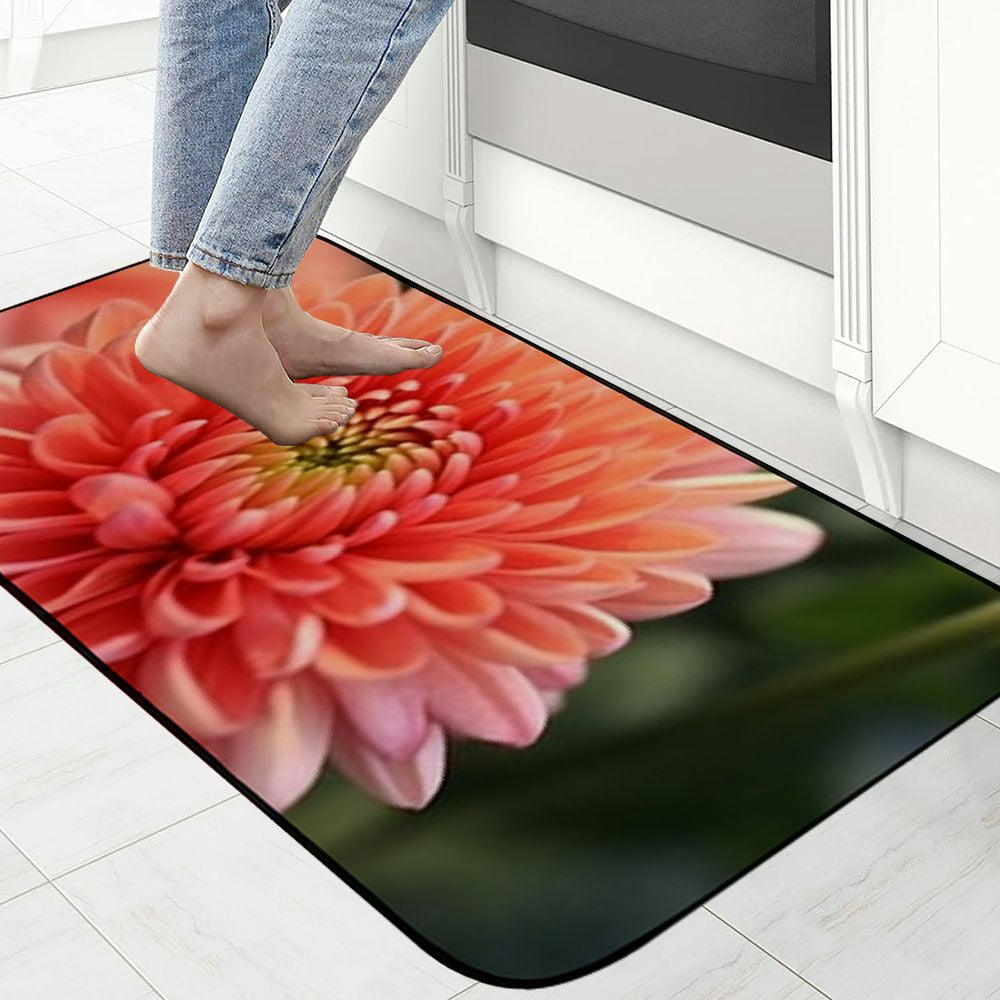 Heduofu Decorative Door Mat, Door Mat with Non-Slip Rubber Backing, Easy Cleaning, Traps Dirt, Rug for Entry, Patio, Garage  - Chrysanthemum Flower Nature Varieties 19.68*47.24 in