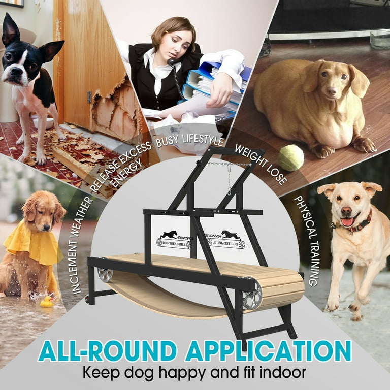 Syedee Dog Treadmill for Large Dogs Dog Slatmill for Healthy Fit Dog Life Dog Treadmill for Indoor Outdoor. Dog Treadmill for Dogs up to 250 lb