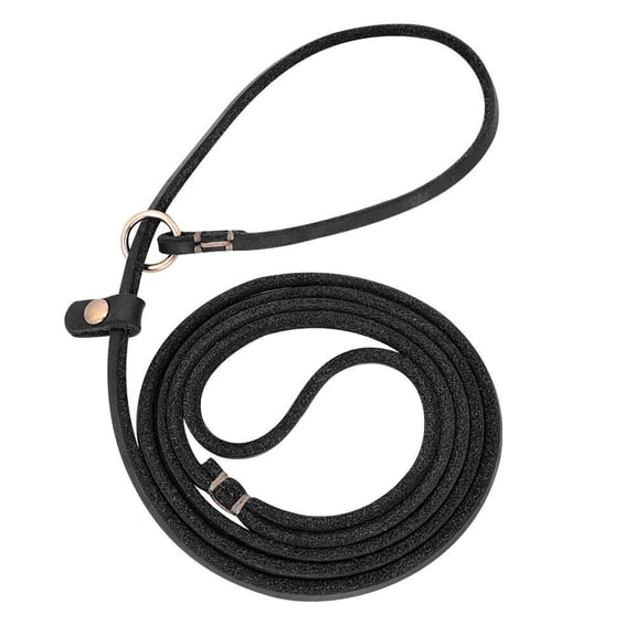 Pet Artist Dog Slip Leash Small Dog Pet Puppy Leather Training Walking Leashes 4ft 5ft