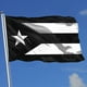 thumbnail image 1 of Bandera de protesta en blanco y negro de Puerto Rico, 90 x 150 cm, para decoración de jardín y porche., 1 of 5