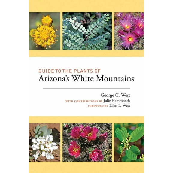 Guide to the Plants of Arizona's White Mountains, (Paperback)
