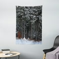thumbnail image 1 of Outhouse Tapestry, Winter Forest in Snow with Little Cute Barn Lumberjack Shed Art Photo, Wall Hanging for Bedroom Living Room Dorm Decor, 40W X 60L Inches, Dark Green and White, by Ambesonne, 1 of 2