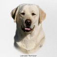 thumbnail image 2 of CafePress - Labrador Retriever 9Y383D 267 - Adjustable Unisex Printed Trucker Hat with Mesh Back, 2 of 10