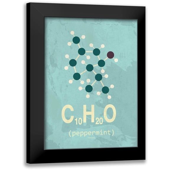 TypeLike 11x14 Black Modern Framed Museum Art Print Titled - Molecule Peppermint