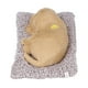 thumbnail image 5 of Perro De Simulación De Plástico Blando, Grandes Regalos Lindo Perro De Simulación De Material Plástico De Felpa Para Regalo De Vacaciones Para Regalo De Cumplea?os ANGGREK Otros, 5 of 8