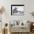 thumbnail image 4 of Historic Framed Print, [Bringing home the cattle, coast of Florida], 17-7/8" x 21-7/8", 4 of 9