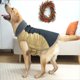 thumbnail image 5 of Abrigo De Invierno Para Perros Chaqueta Para Perros Para Clima Frío Con Acolchado Chaleco Para Perros Con Ropa Cálida Incorporada Ropa Para Perros Con Cremallera Trasera Chaqueta Para Perros Ade, 5 of 7
