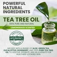 thumbnail image 3 of KESMEDIK Tea Tree Lemongrass Body Wash MaxTherapy, Itchy Skin Relief, Antifungal Defense, Fights Body Odor, Soothes Jock Itch & Athlete's Foot, Intimate Wash, Men & Women, 2-Pack, Limited Edition, 3 of 7