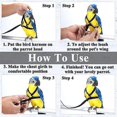 thumbnail image 3 of Parrot Bird Harness Leash Outdoor Flying Traction Straps Band Adjustable Anti-bite Training Rope, 3 of 4