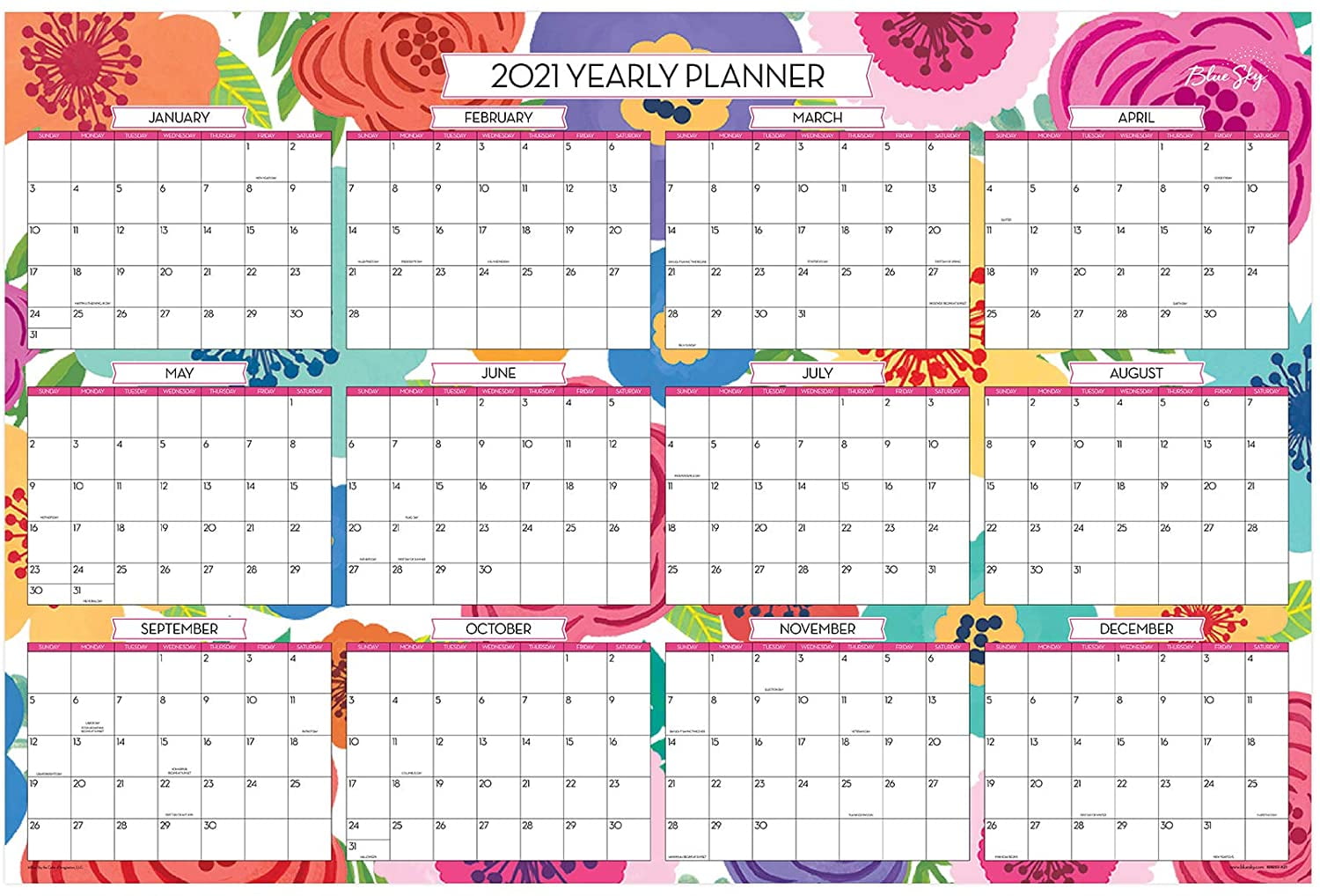 Blue Sky 20202021 Academic Year/2021 Regular Year Monthly Laminated