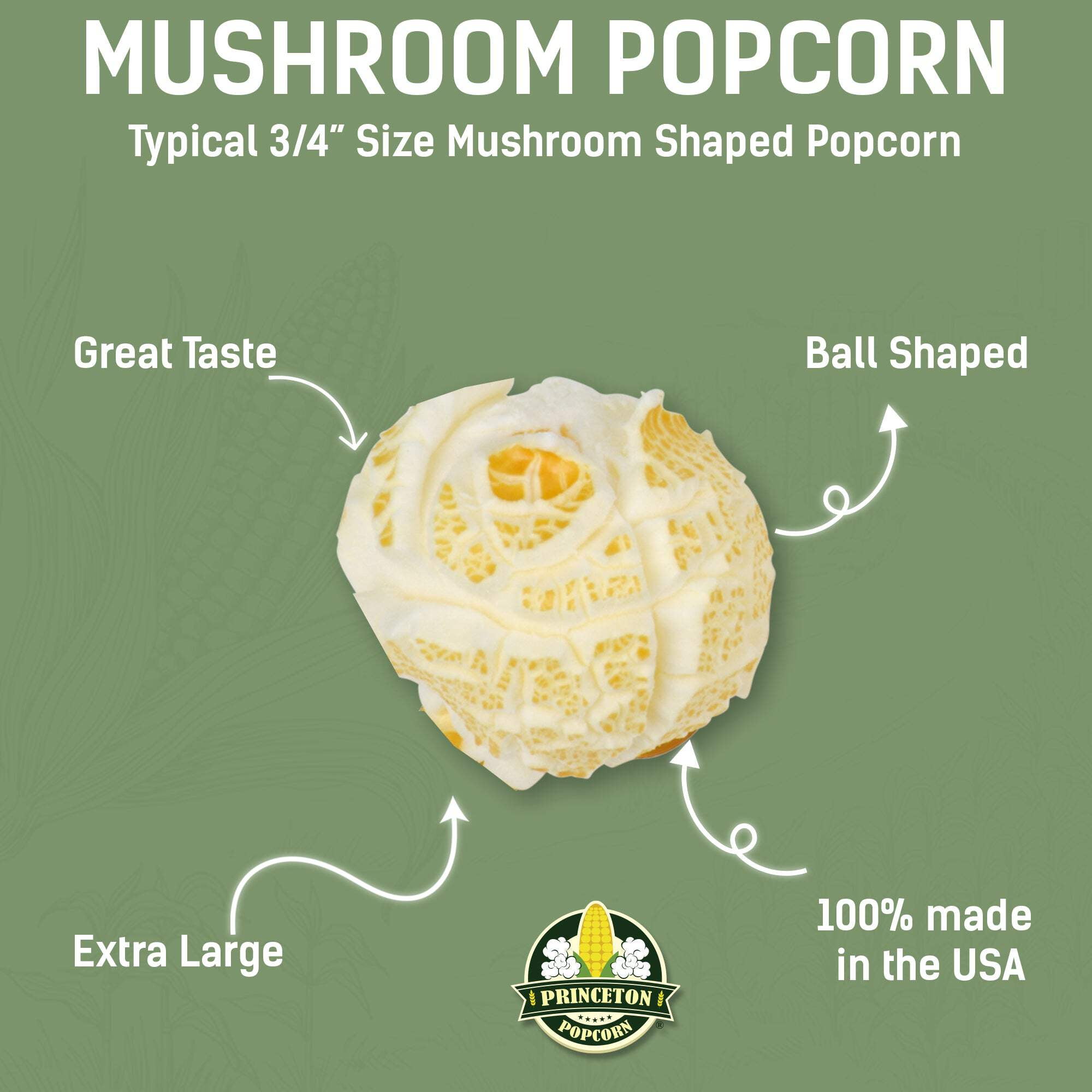 Giant Popcorn Kernels by Princeton Popcorn Farm Grown, Non GMO, Gluten Free UnPopped, Ball Shaped, Old Fashion Popcorn Pops Extra Large, Popping Corn for Air Popper & Stovetop 8lbs
