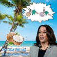 thumbnail image 3 of Coconut tree key chain beach coconut tree pendant Accessories H7S1, 3 of 8