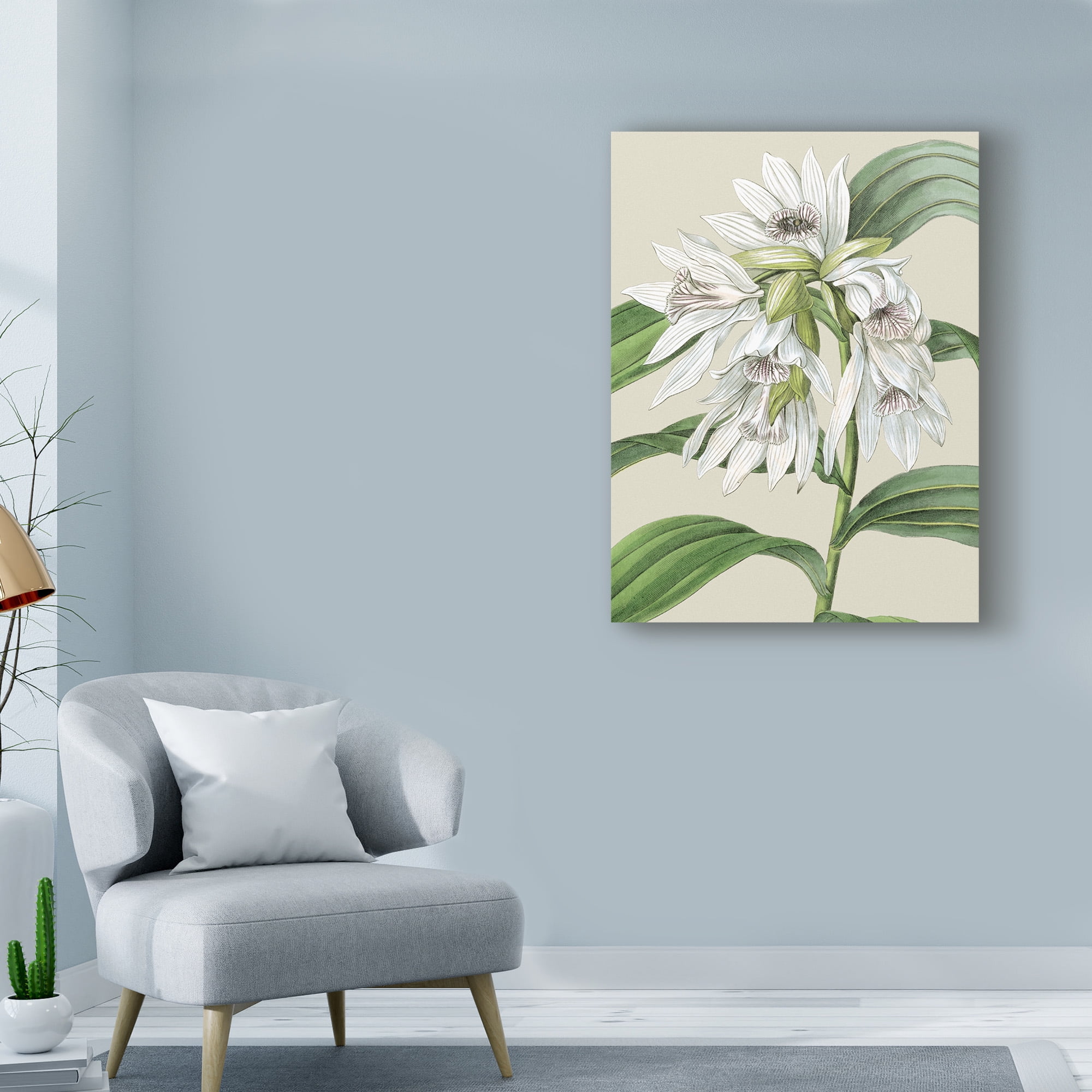 Trademark Fine Art 'Small Orchid Blooms III' Canvas Art by Vision Studio
