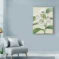 thumbnail image 3 of Trademark Fine Art 'Small Orchid Blooms III' Canvas Art by Vision Studio, 3 of 4