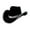 Black, variant on Weikingp Cowboy Hat Women'S Masquerade Party Silver Trimmed Cowboy Hat Silver Trimmed Western Cowboy Hat Cowgirl Hat Cowboy Hats for Women Cowboy Hat Men () Black Flock