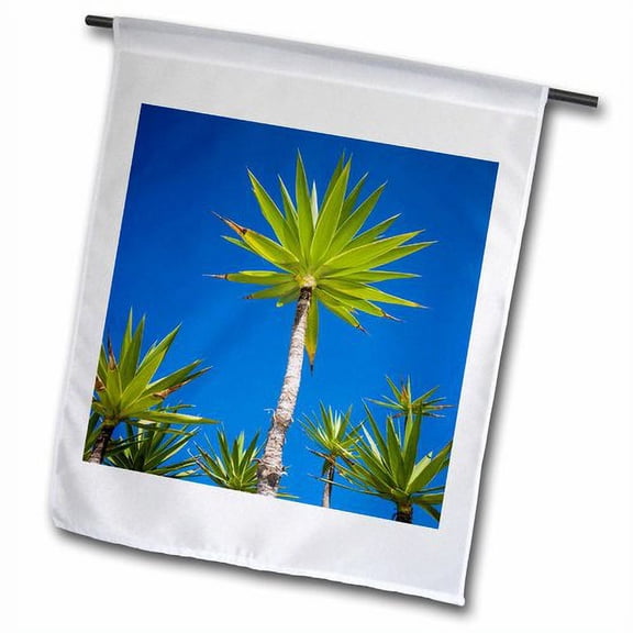 3dRose, Spain, Canary Islands, Lanzarote, Tahiche, garden, 12 x 18 inch Garden Flag