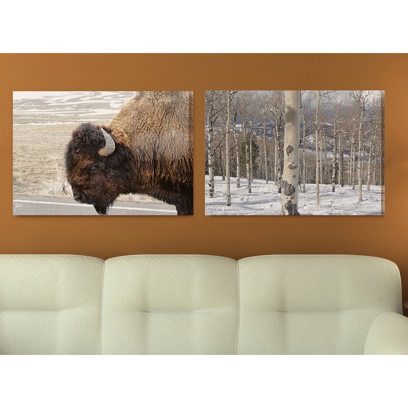 The Stupell Home Decor Collection Beautiful Buffalo Photography Framed Giclee Texturized Art