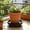 Brown, variant on Wheeled Plant Stand, Heavy Duty Rolling Flower Pot Caddy, 12 Inch Plastic Plant Mover for Indoor Outdoor, Universal Garden Planter Base