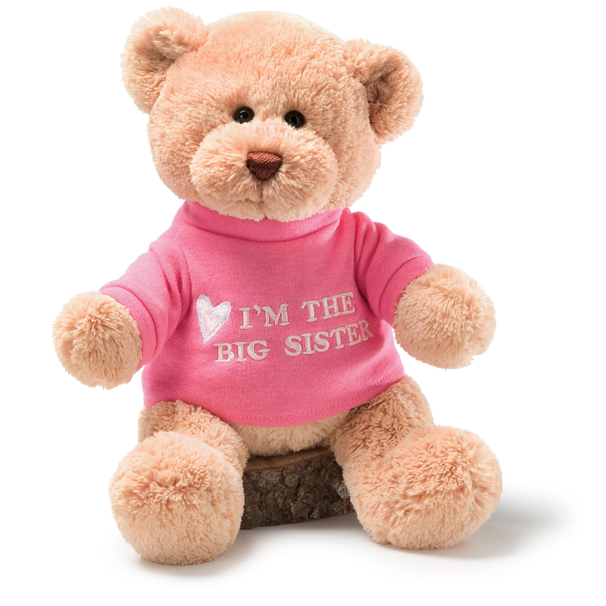 Baby Gift Idea G320154 Gund Im The Big Sister Teddy Bear