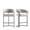 Light Grey, variant on Manhattan Comfort Augusta Counter Stool with Metal Base in Light Gray - Set of 2