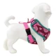thumbnail image 5 of Pechera Arnes Ajustable Con Correa Para Perro, 5 of 8
