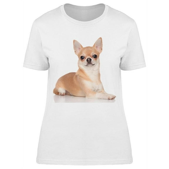 Serious Pose Chihuahua T-Shirt Women -Image by Shutterstock, Female Small