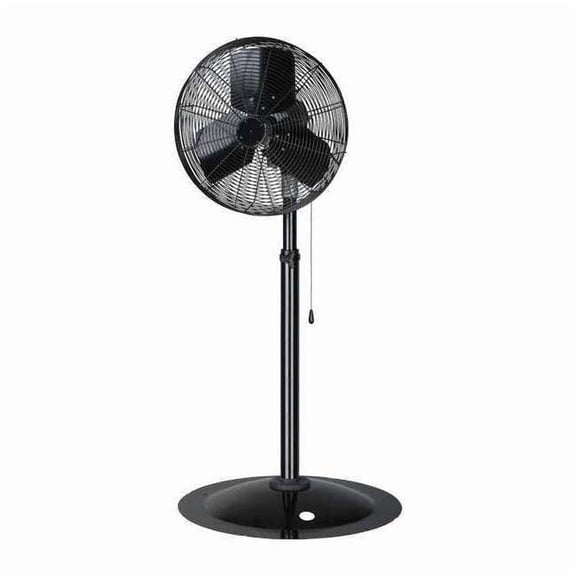 Dayton Light Dty Indstrl Fan,18" Blde Dia.,2Spd 13V398