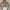 Camouflage, variant on Ukumplol Womens Tops Tube Top Women's New Sequined Vest Round Neck Base Inner Layer Outer Layer Vest Sequin Tops for Women Beige L