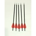 thumbnail image 3 of 20 X PRACTICE carbon bolts for MINI- STRIKER crossbow, 3 of 4