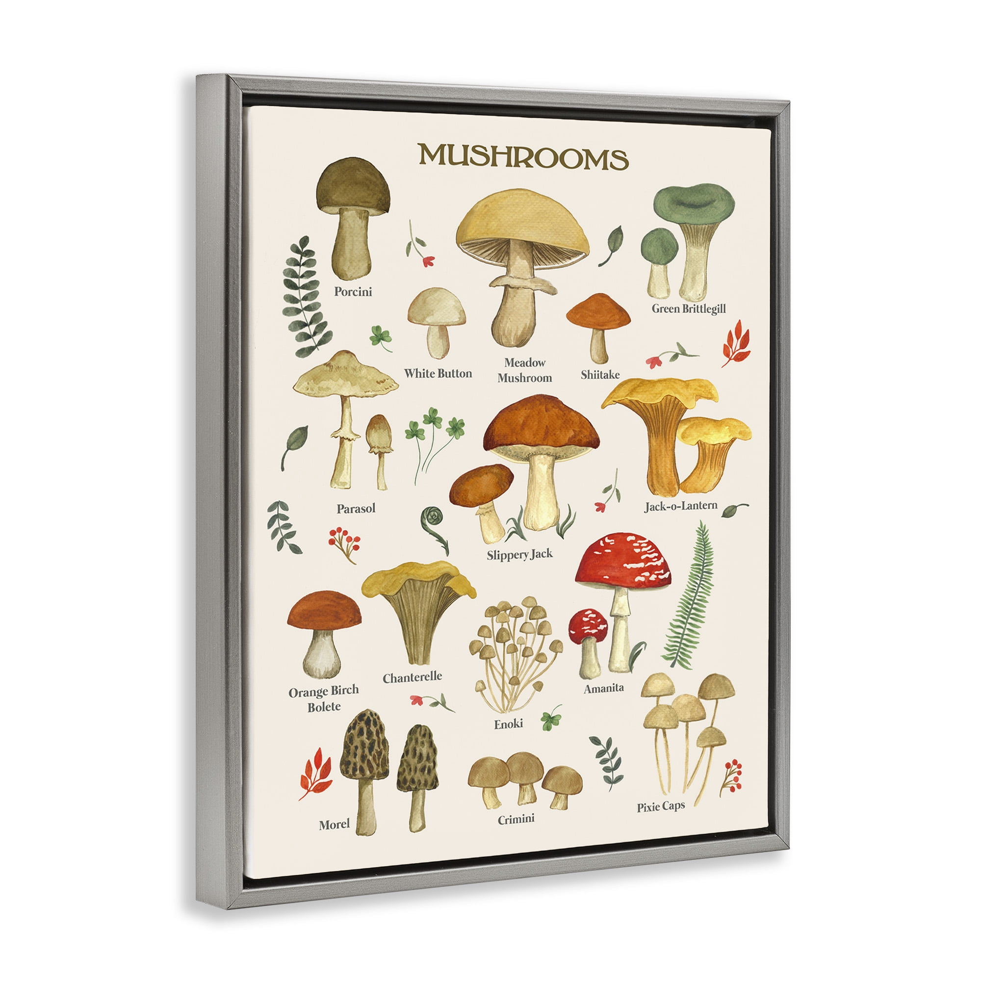 Stupell Industries Foraging Mushrooms Studies Botanical & Floral Painting Gray Floater Framed Art Print Wall Art, 25 x 31