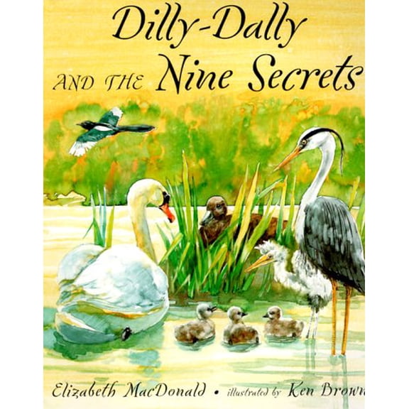Pre-Owned Dilly-dally and the Nine Secrets (Hardcover) 0525460063 9780525460060