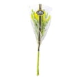thumbnail image 3 of Bouquet lilies premium, 3 of 4
