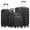 Black, variant on 4 Piece Luggage Set 16/20/24/28 inch Hardside Lightweight Suitcase with Spinner Wheels (Lime Green)