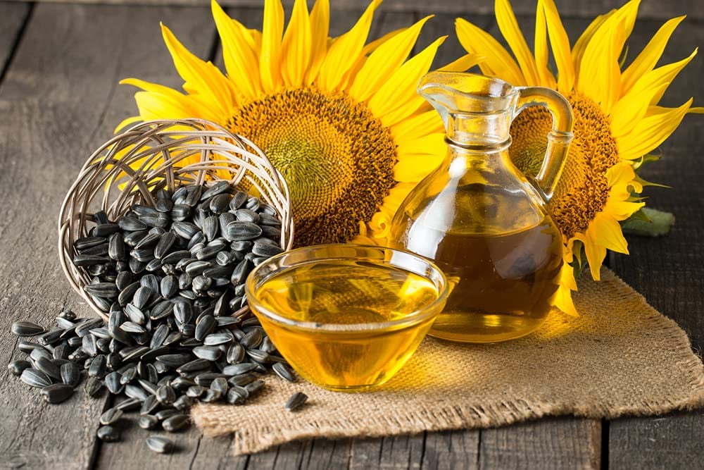 Black Oil Sunflower Seeds for Planting 200+ Seeds Made in USA