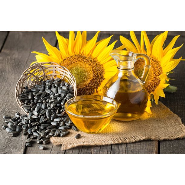 Black Oil Sunflower Seeds for Planting 200+ Seeds Made in USA Attract Birds, Produce