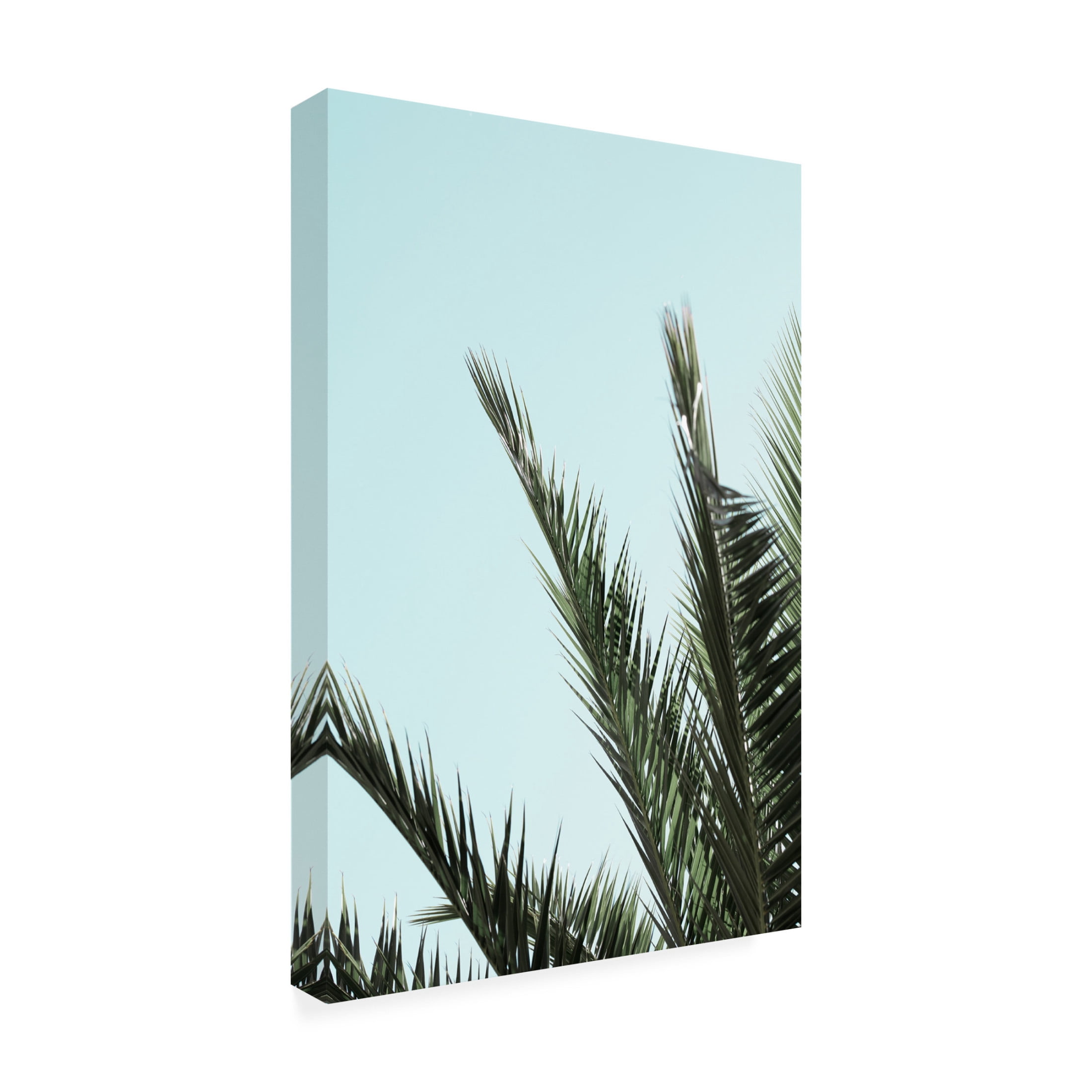 Trademark Fine Art Pictufy Studio Palm Leaves And Sky 2 Canvas Wall Art