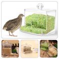 thumbnail image 4 of Miangastore 2pcs Automatic Parrot Bird Feeder Automatic Pet Bird Food Feeder No-mess Rutin Chicken Feeder, 4 of 8
