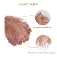 thumbnail image 5 of CIYISON Colored Ostrich Feather 10Pcs for Photography Props Flower Arrangement DIY Decor, 5 of 20