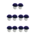 thumbnail image 3 of Guardoinrt 2piece Potted Simulation Plants Adding Beauty And Style To Any Setting Durable Pot Bonsai Ornament purple 5Set, 3 of 6