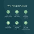 thumbnail image 4 of All Purpose Cleaner Concentrate – Plant-Powered Multi-Surface Cleaner - Surface Cleaner Solution As Seen on TikTok (Green Tea + Lime, 16 fl oz, 1 Pack), 4 of 4