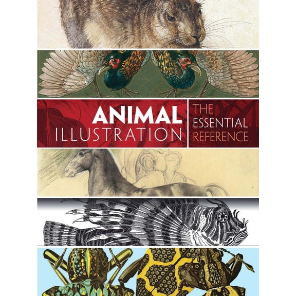 Animal Illustration: The Essential Reference (Paperback)